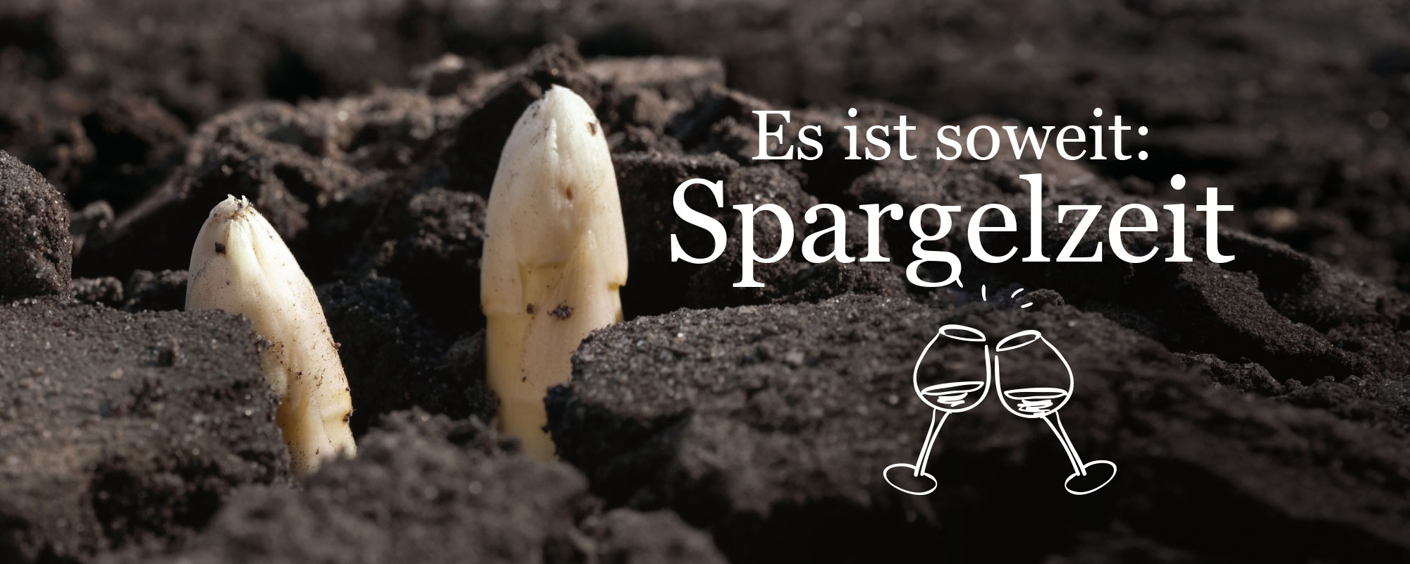 Spargel und Erdbeeren von Löscher – Unser Garant für Delikatesse und Genuss aus der Region